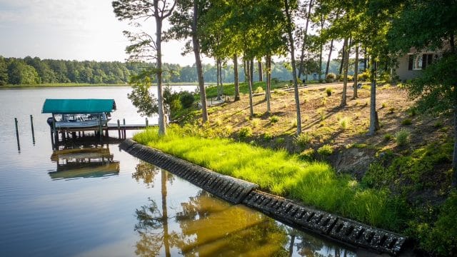 Completed living shoreline restoration with marsh grass planted along the waterfront, by Native Shorelines