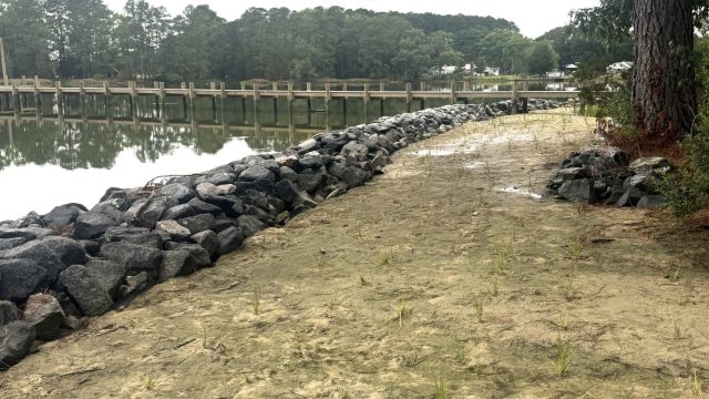 early-marine-stone-sill-living-shoreline